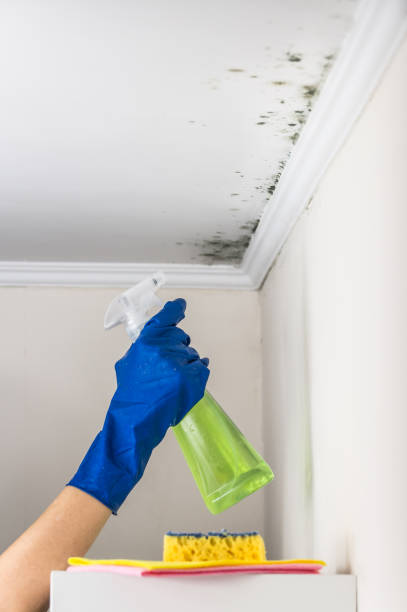 Best Mold Testing  in Cascade, IA